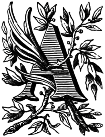 letter a (1)