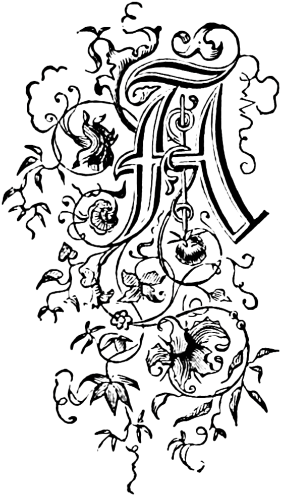 letter a (10)