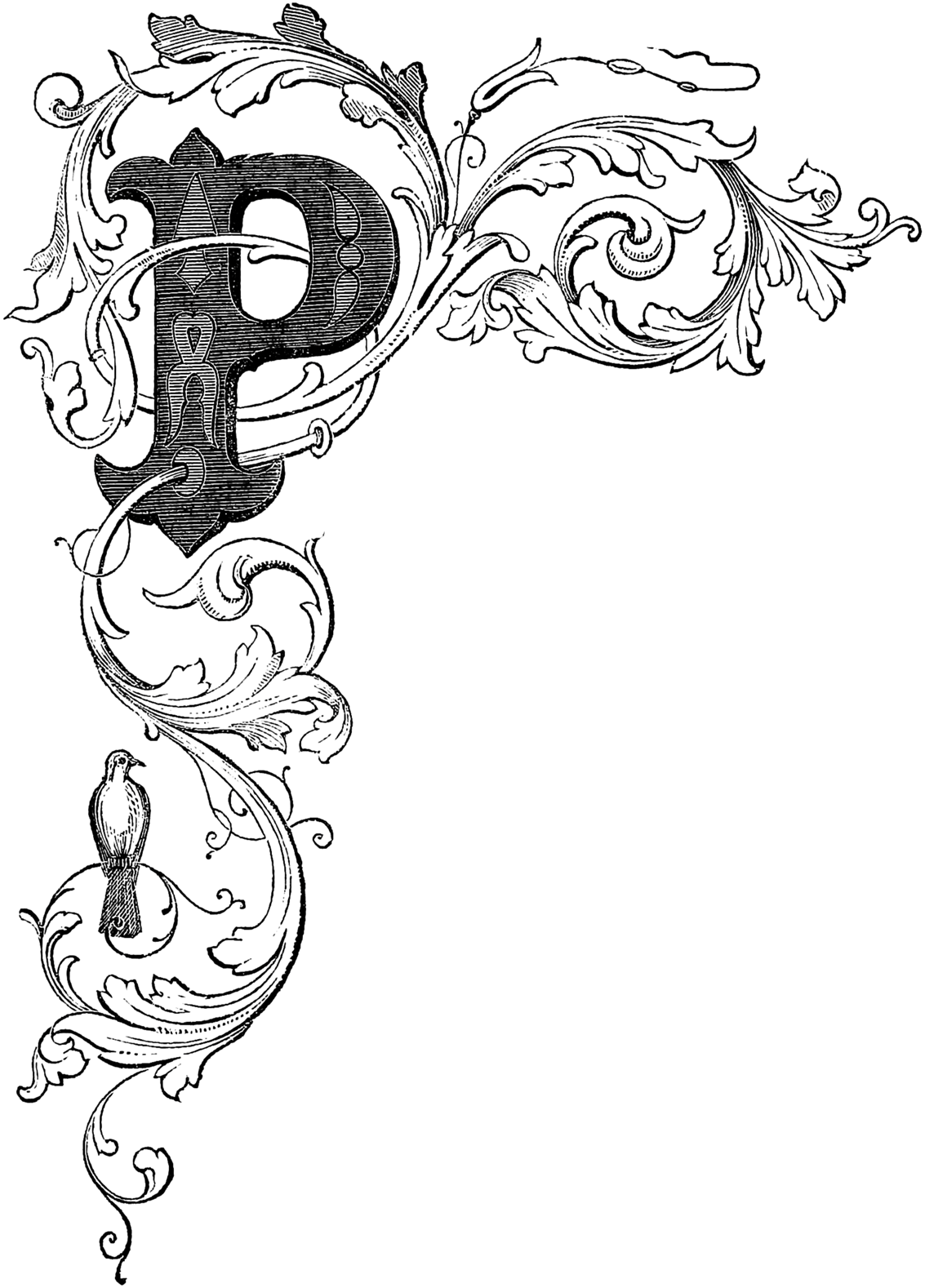 letter p (6)