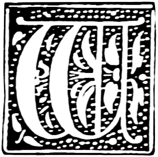 letter w (1)