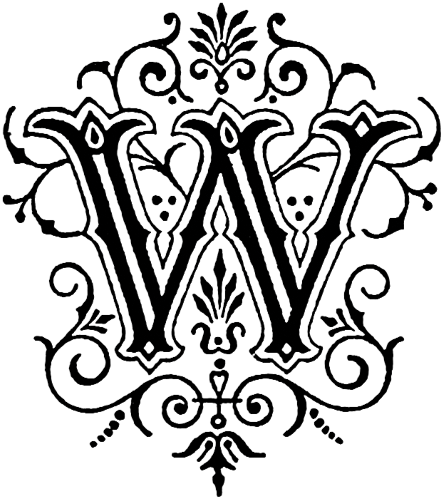 letter w (4)