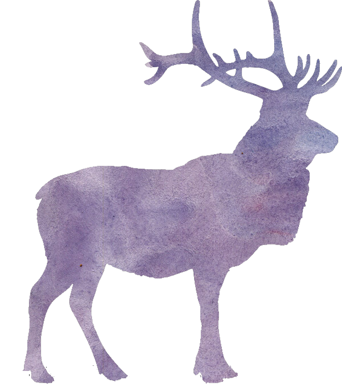watercolor deer (6)