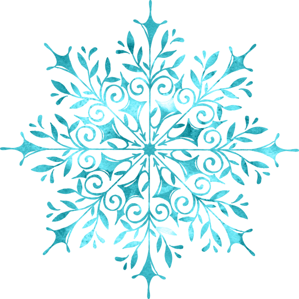 snowflake (20)