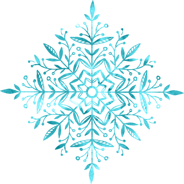 snowflake (21)