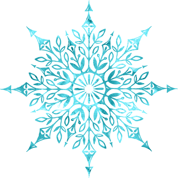 snowflake (22)