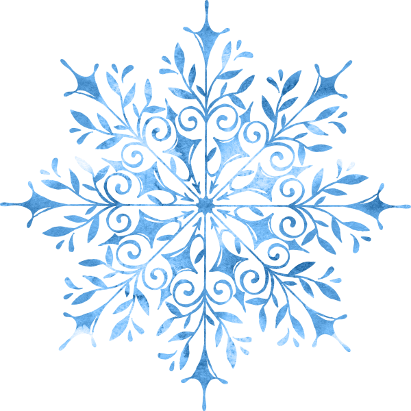snowflake (29)