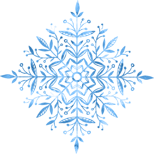 snowflake (30)