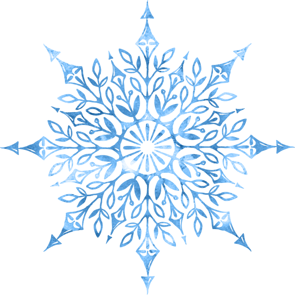 snowflake (31)