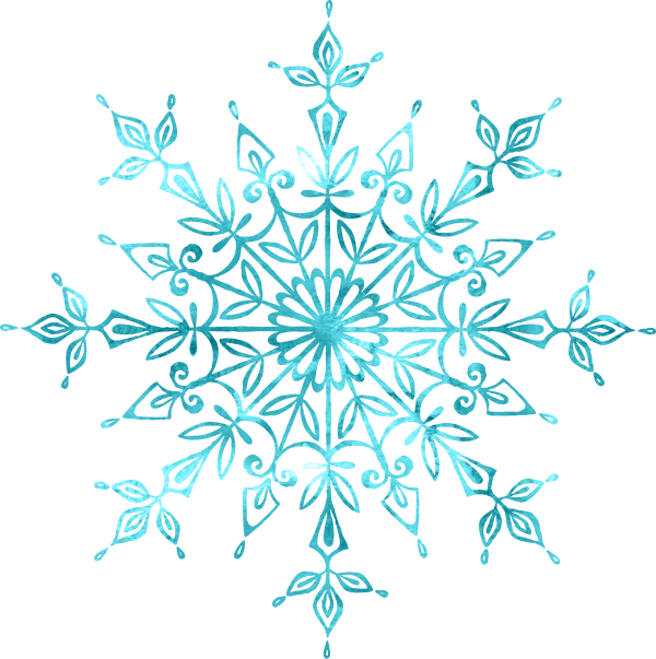 snowflake (32)