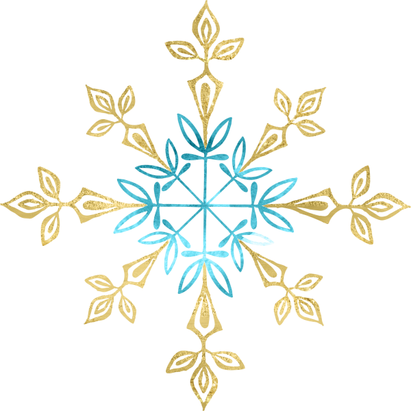 snowflake (41)