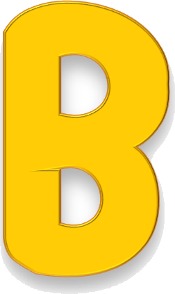 b (3)