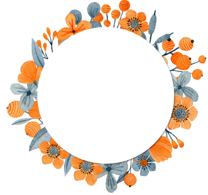 circle-orangeandgrey