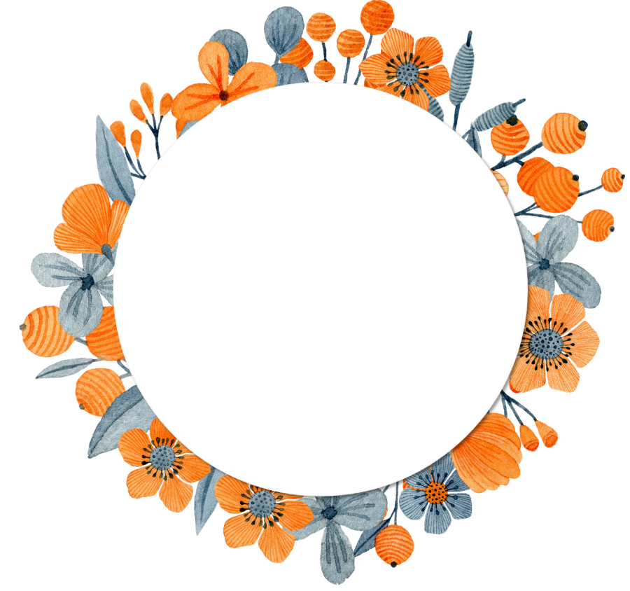 circle-orangeandgrey