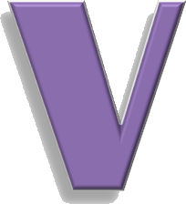 v (1)